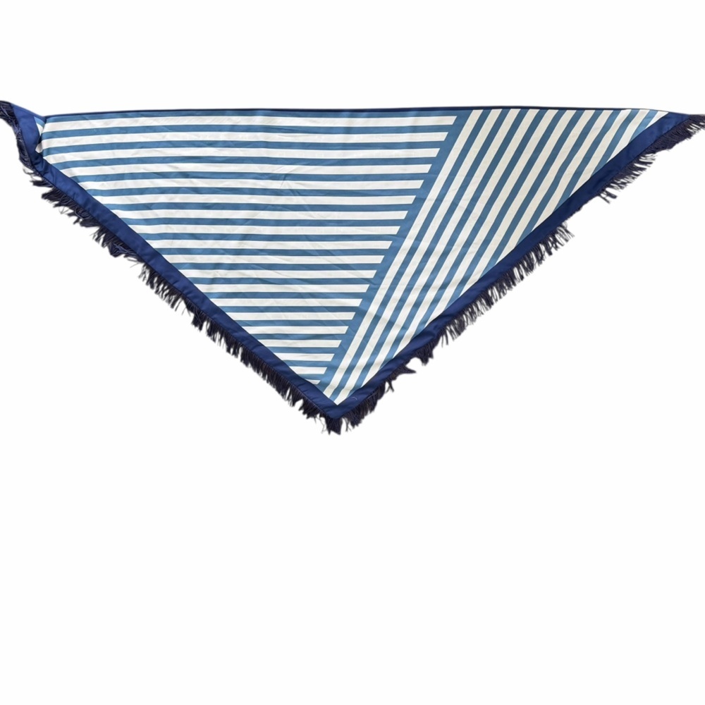 Echo Striped Blue and White Reversible Fringe Triangle Scarf